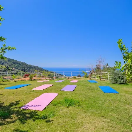 Otel Highclere And (adults Only)